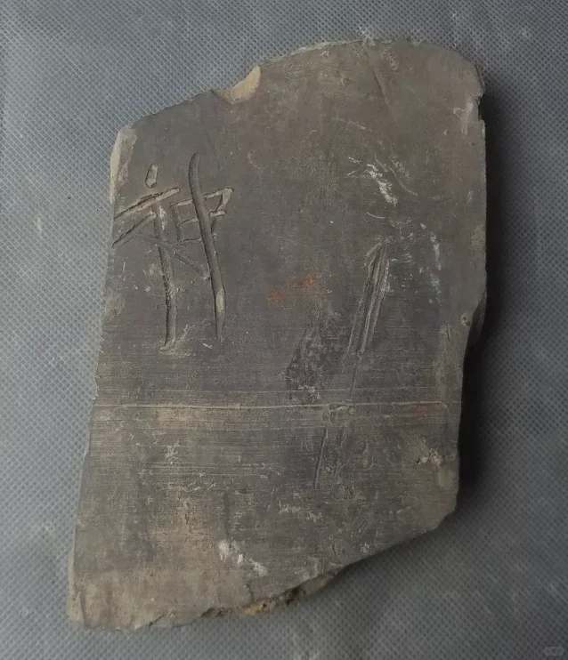 3000年文字的温度,国花园里的免费宝藏!