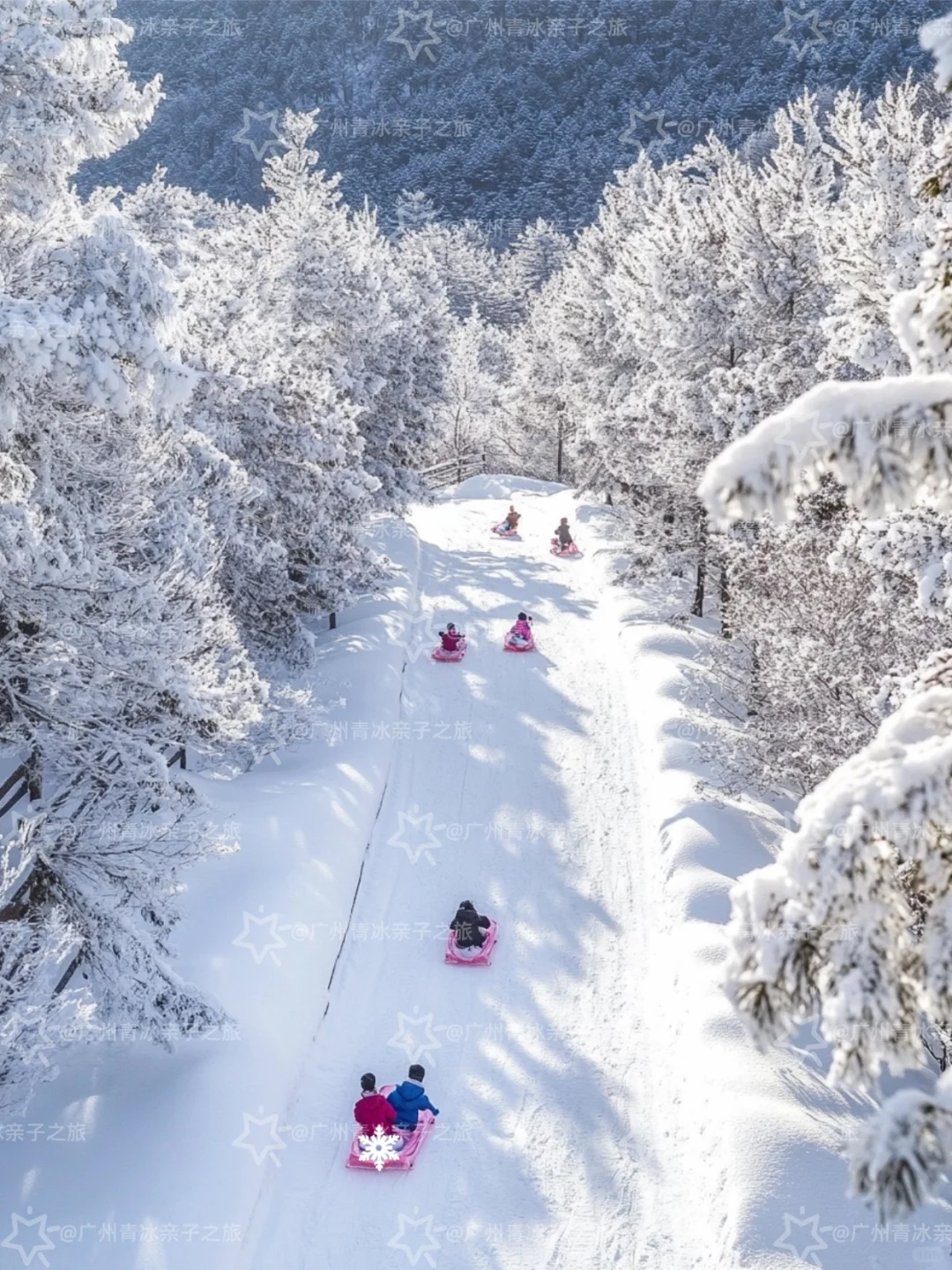 广东出发适合带娃看雪的6个城市 好玩又便宜