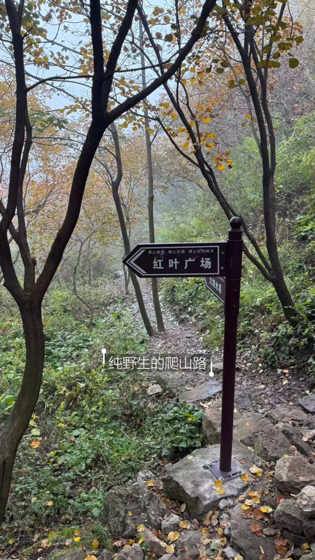 邢台也有自己的喀纳斯｜佛照山