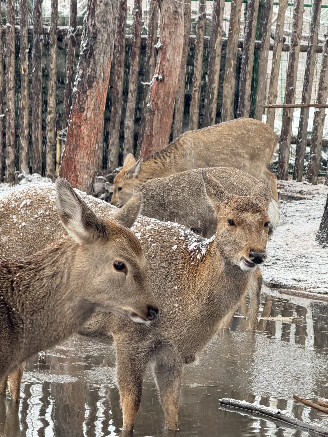 关于天池不开放，我去哪里玩这件事