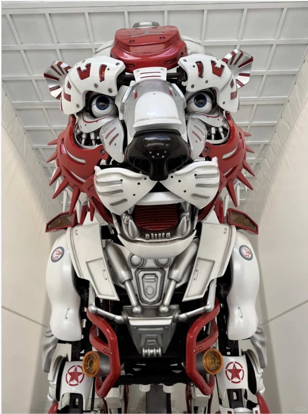 亲测！虎跳峡这样玩！3小时懒人攻略