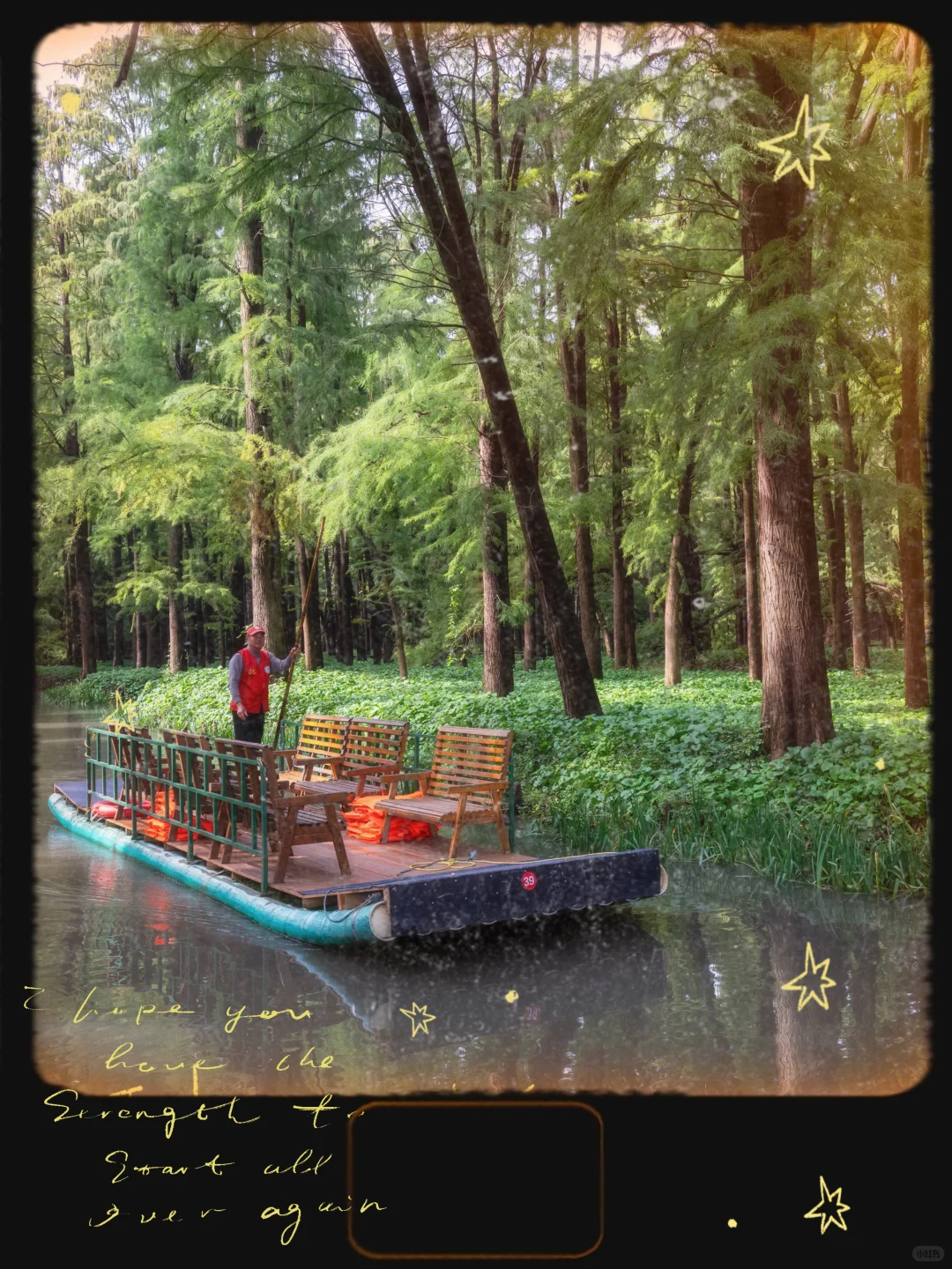 李中水上森林保姆级攻略｜避开人潮玩尽兴💯