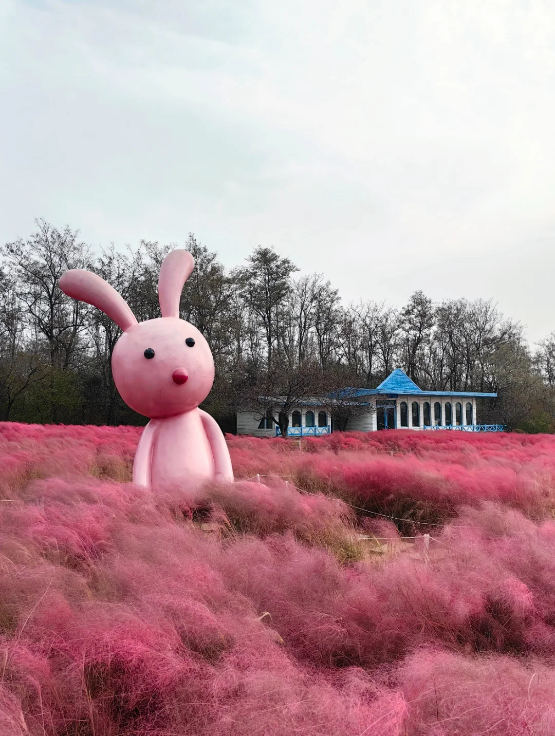 沈阳文旅杀疯了！非本地户籍白嫖六大景区