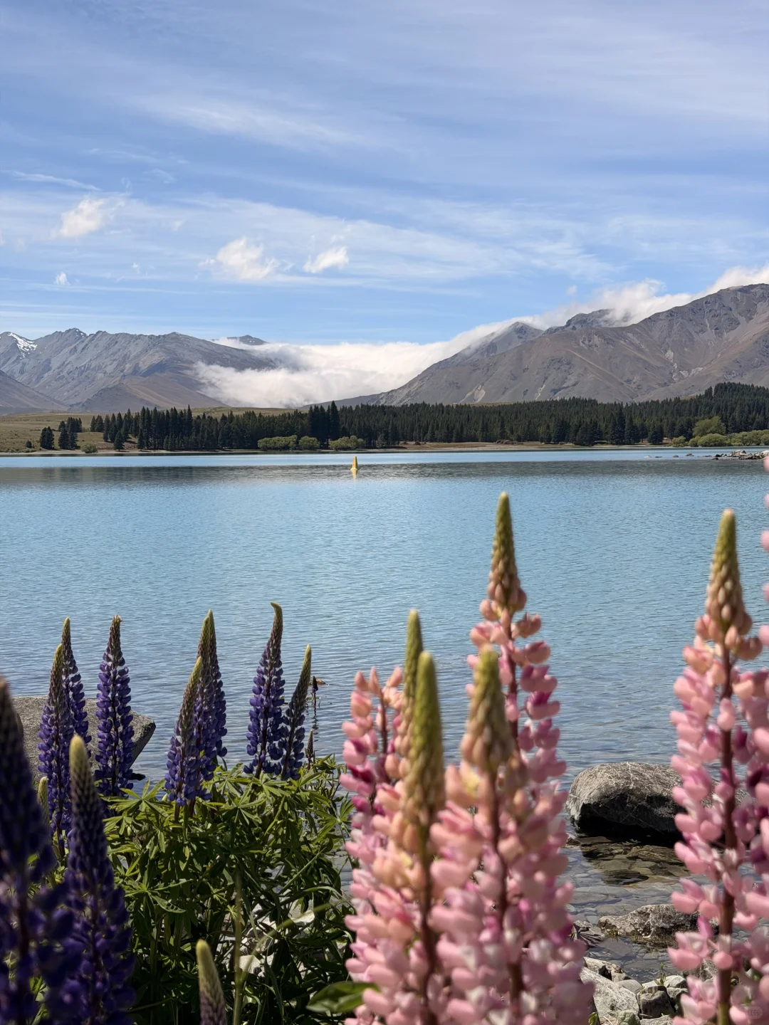 🇳🇿 Lake Tekapo 🩵
