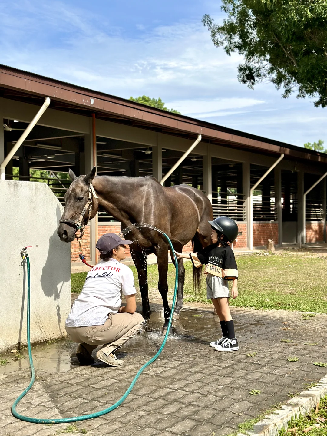 不是国外!是在马六甲新开的马场!!