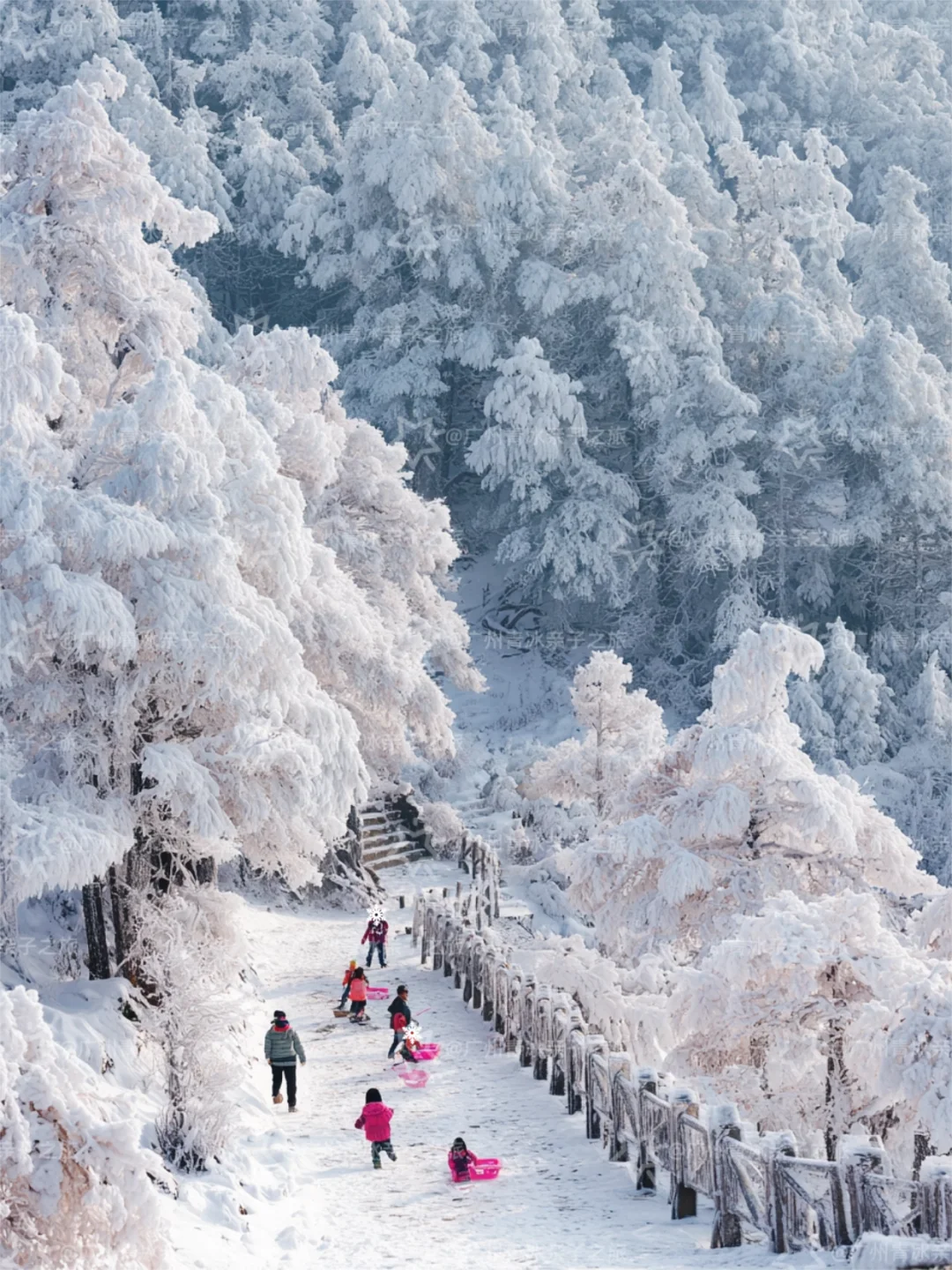 广东出发适合带娃看雪的6个城市 好玩又便宜