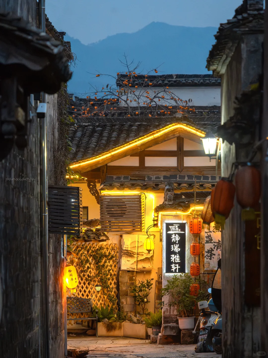 南京出发 | 挑战每周出去玩✨第60站📍黟县