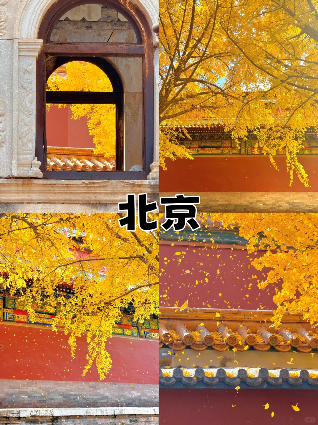 秋天适合带小朋友去的，四个超棒城市