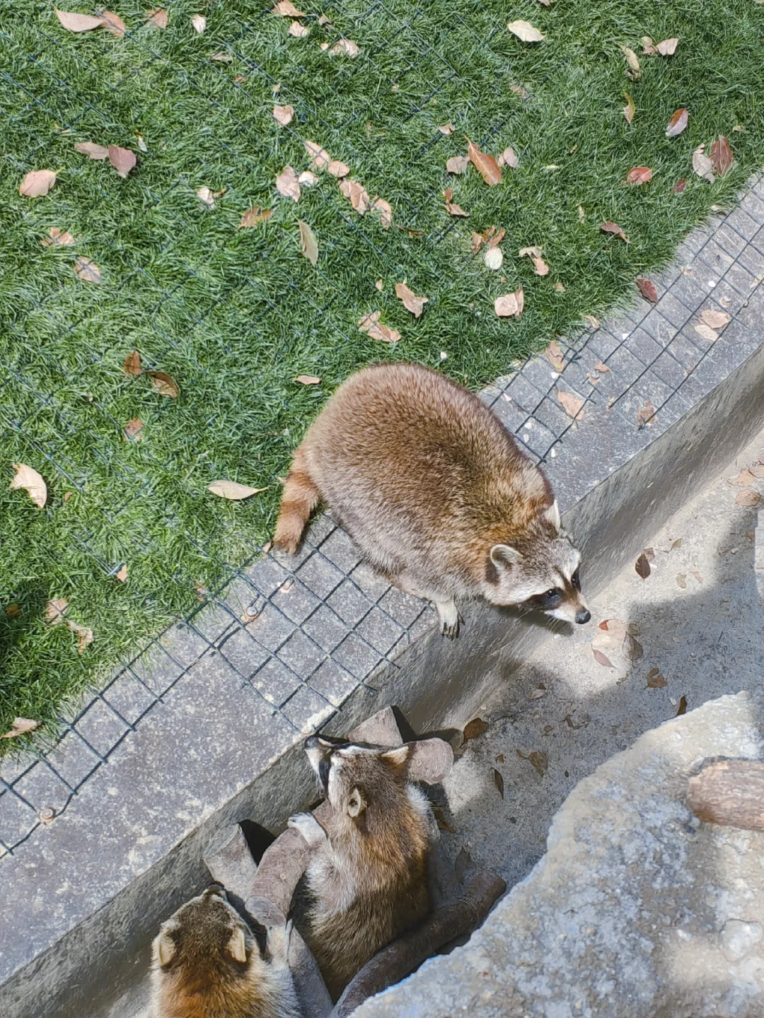 千万别错过大自然的宝藏☀