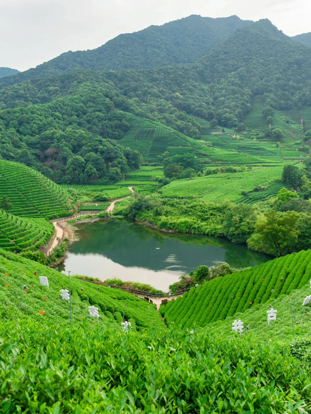 为了这1️⃣8️⃣张图，特意飞了一趟杭州，值吗！