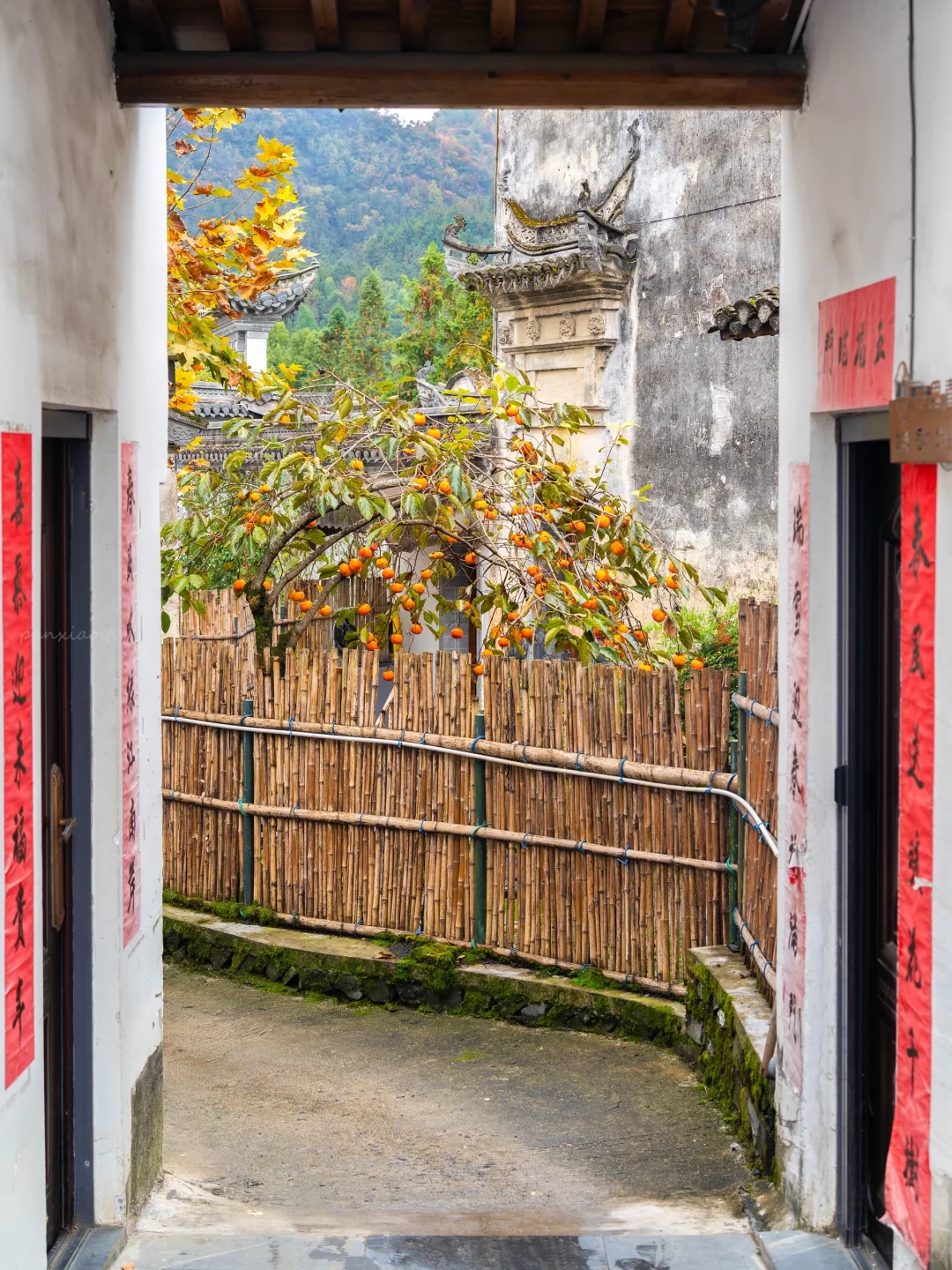 南京出发 | 挑战每周出去玩✨第60站📍黟县