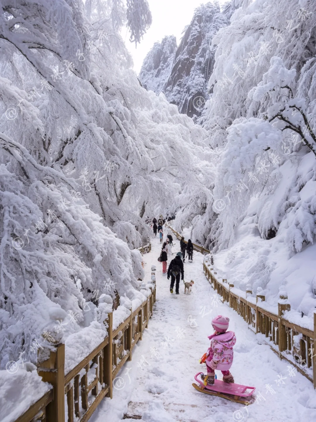 广东出发适合带娃看雪的6个城市 好玩又便宜