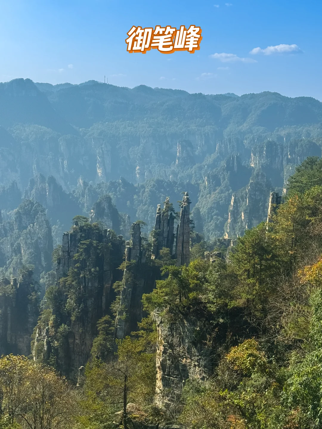 成都自驾出发，5天4夜！张家界亲子游全攻略❗️