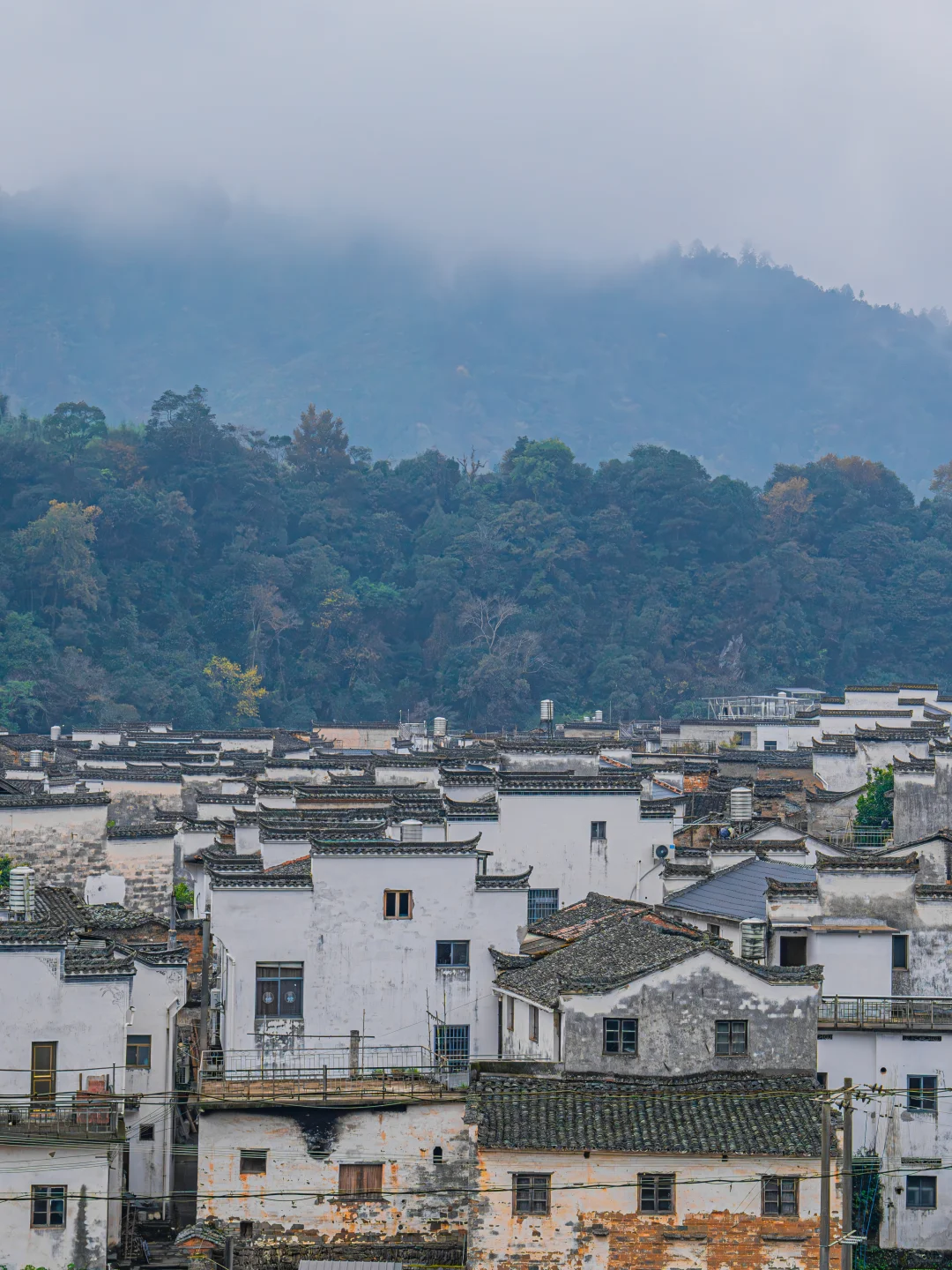 接下来的婺源，堪称国内旅游天花板‼️