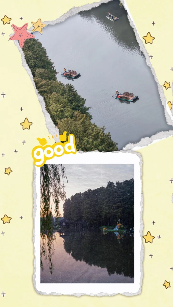 娃在水上森林玩嗨啦🌳