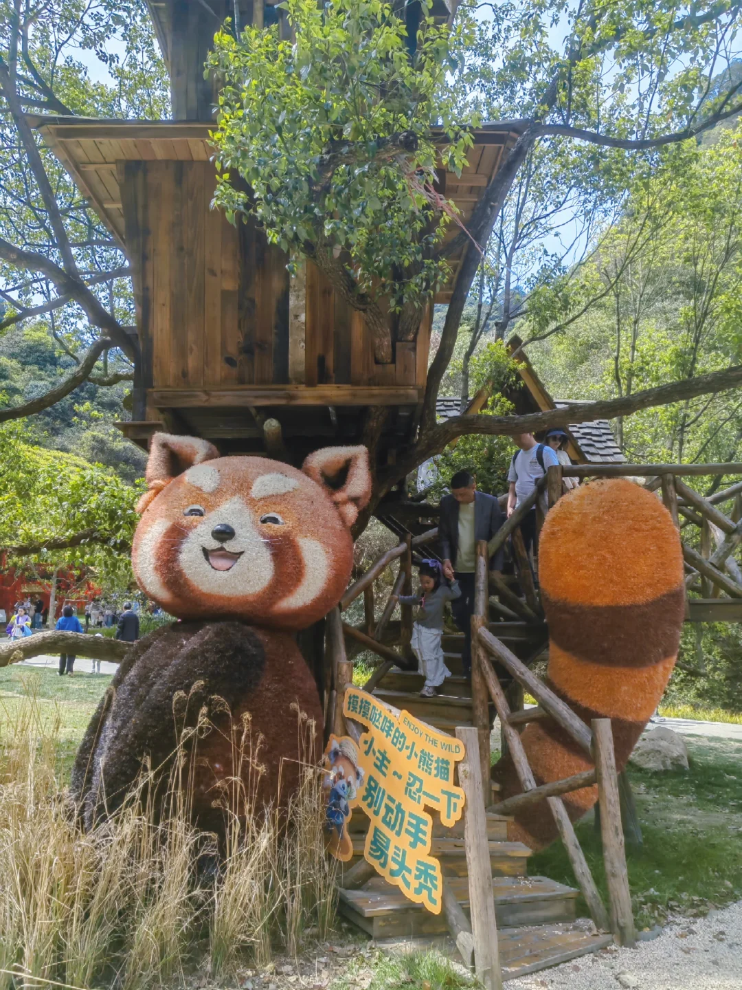 千万别错过大自然的宝藏☀