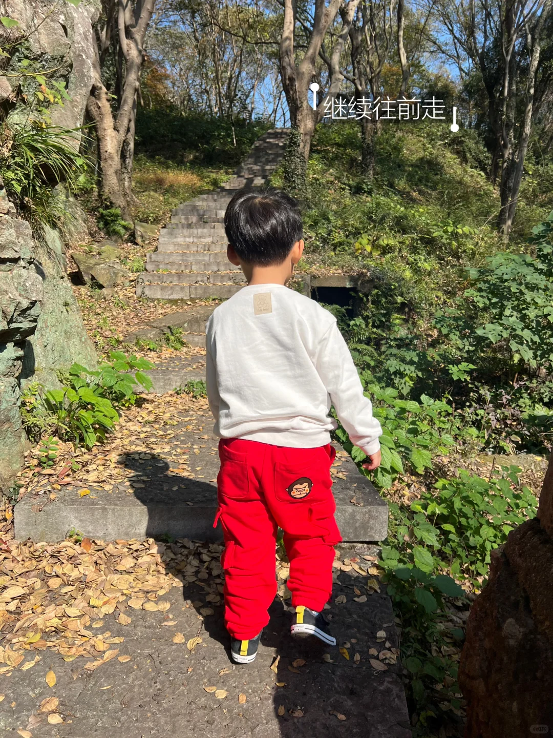 先收藏⭐明年夏天来玩水‼️