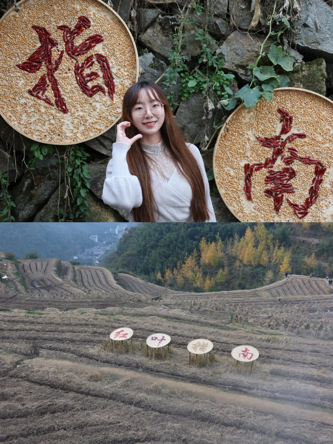 周末去哪玩|指南村秋色正当时🍁赏千年银杏