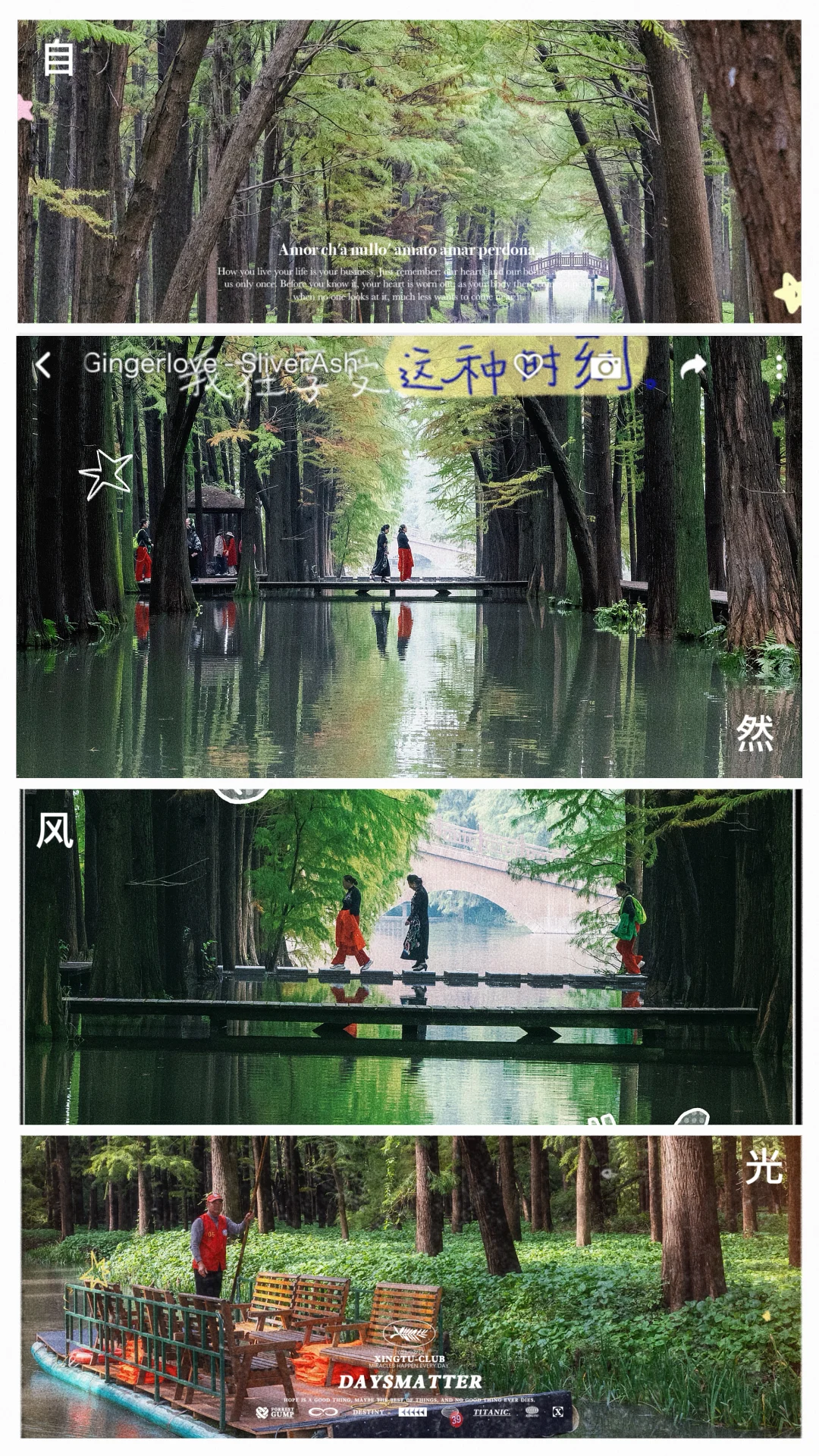 李中水上森林保姆级攻略｜避开人潮玩尽兴💯