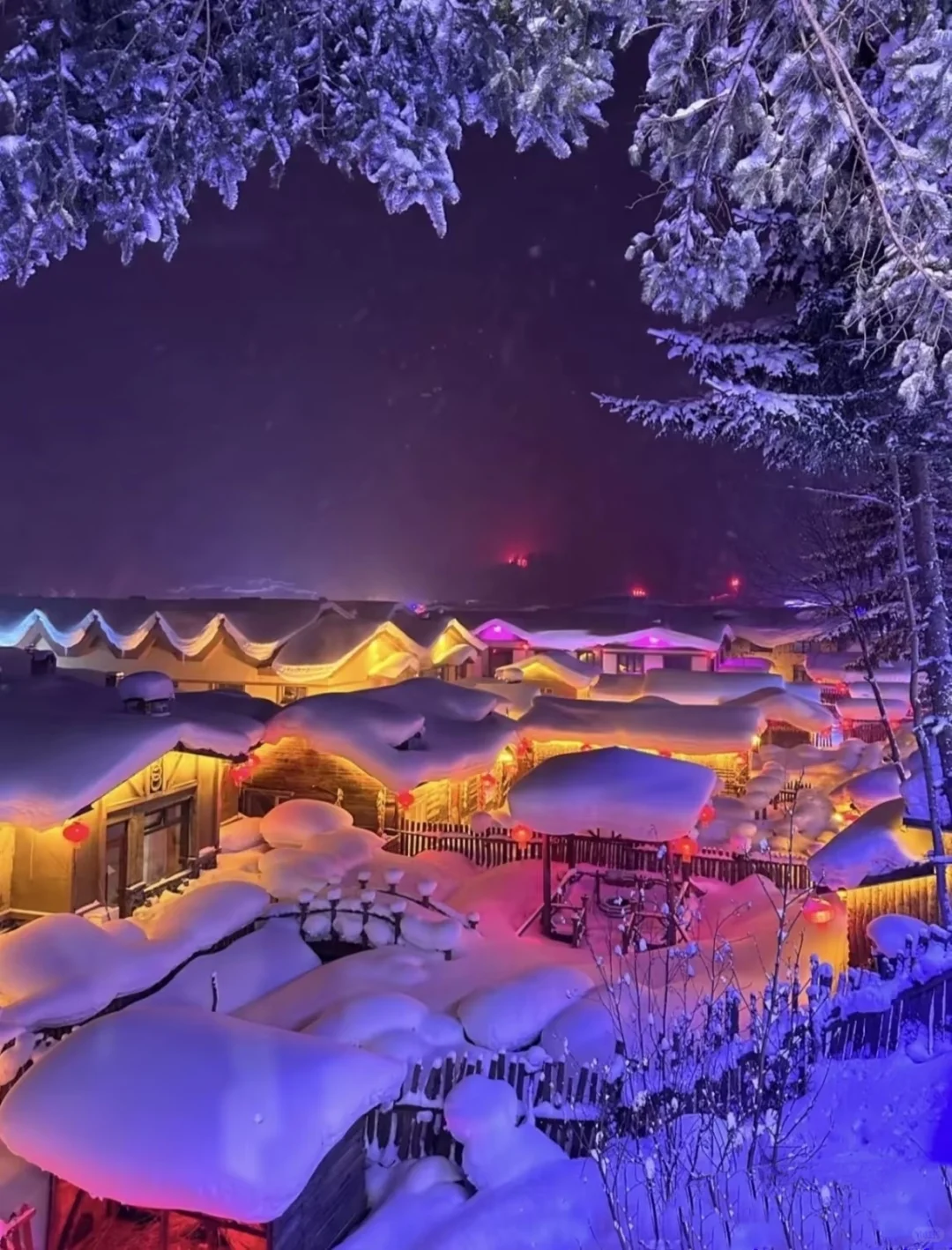 98元纯玩雪乡！日景+夜景+无购物超值