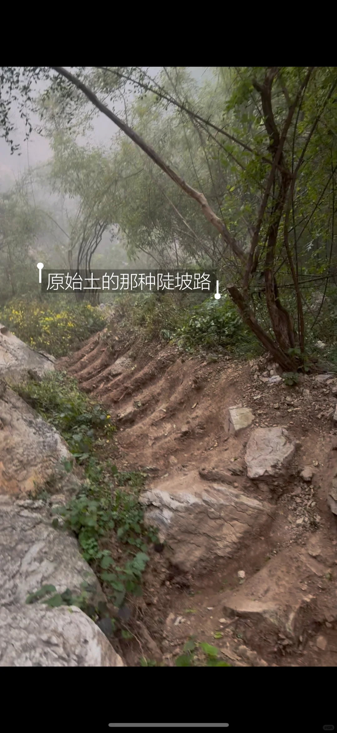 邢台也有自己的喀纳斯｜佛照山