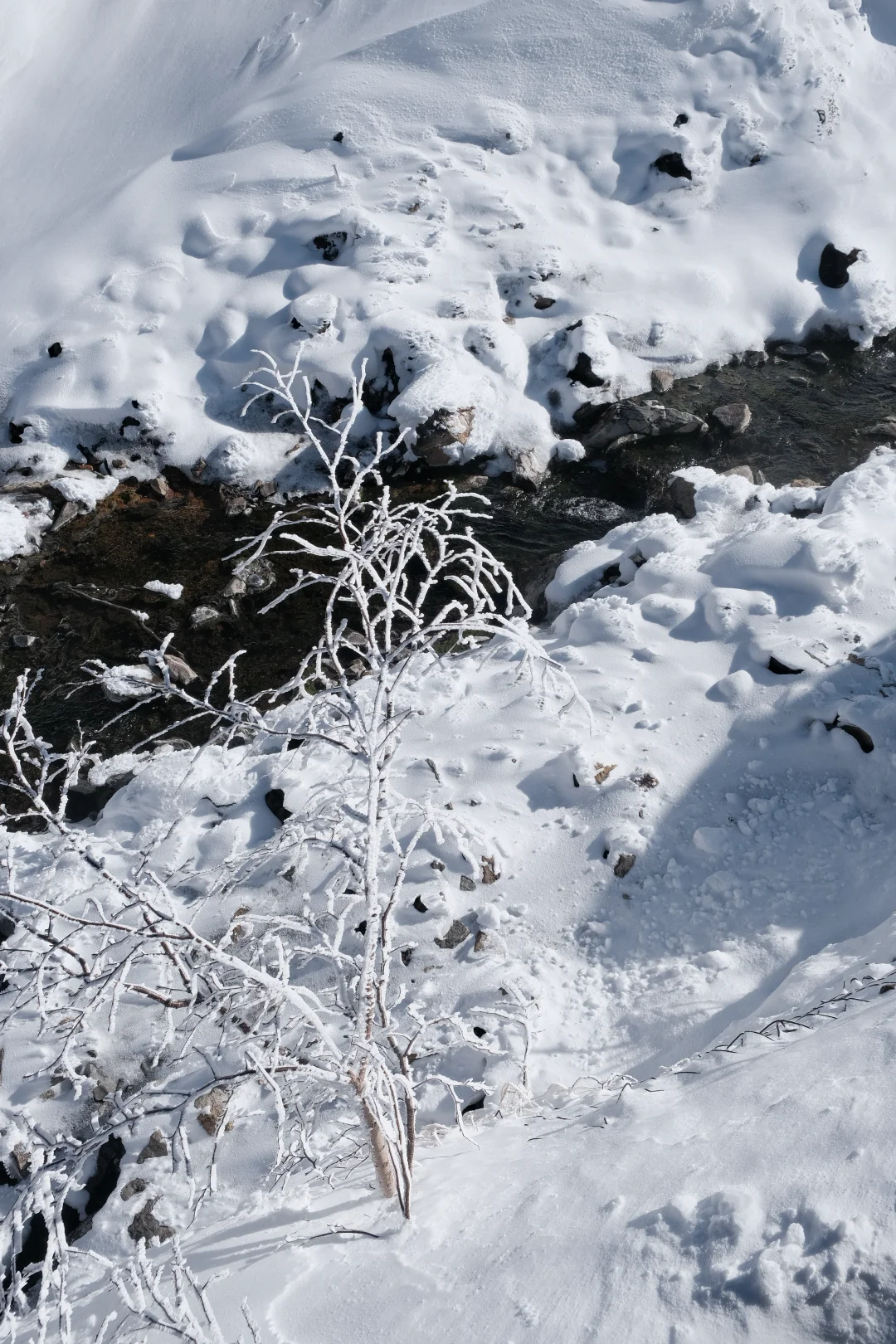 长白山玩雪看这里👀