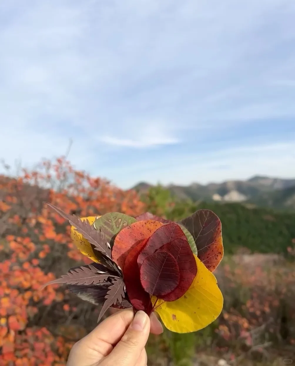 邢台也有自己的喀纳斯｜佛照山