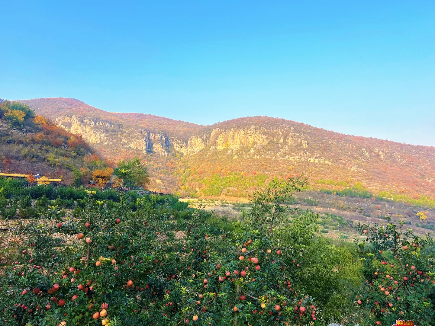 邢台沙河「佛照山」秋天免费出行第一站