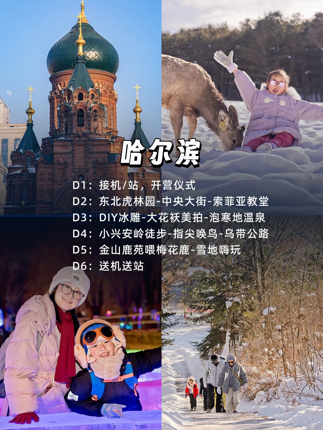 1-2月亲子游🌈10条线路玩雪丨暖冬任意选‼️