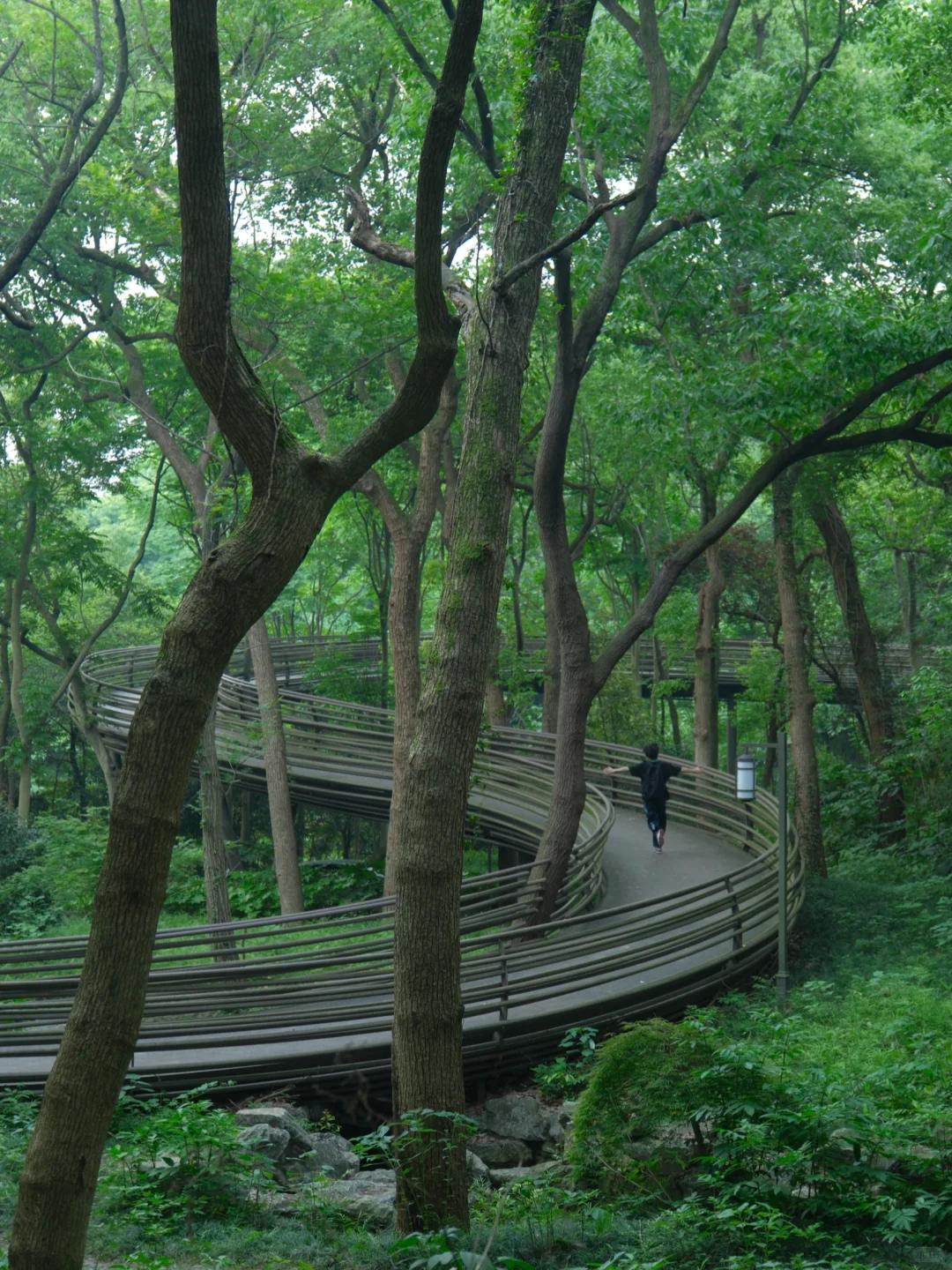 为了这1️⃣8️⃣张图，特意飞了一趟杭州，值吗！