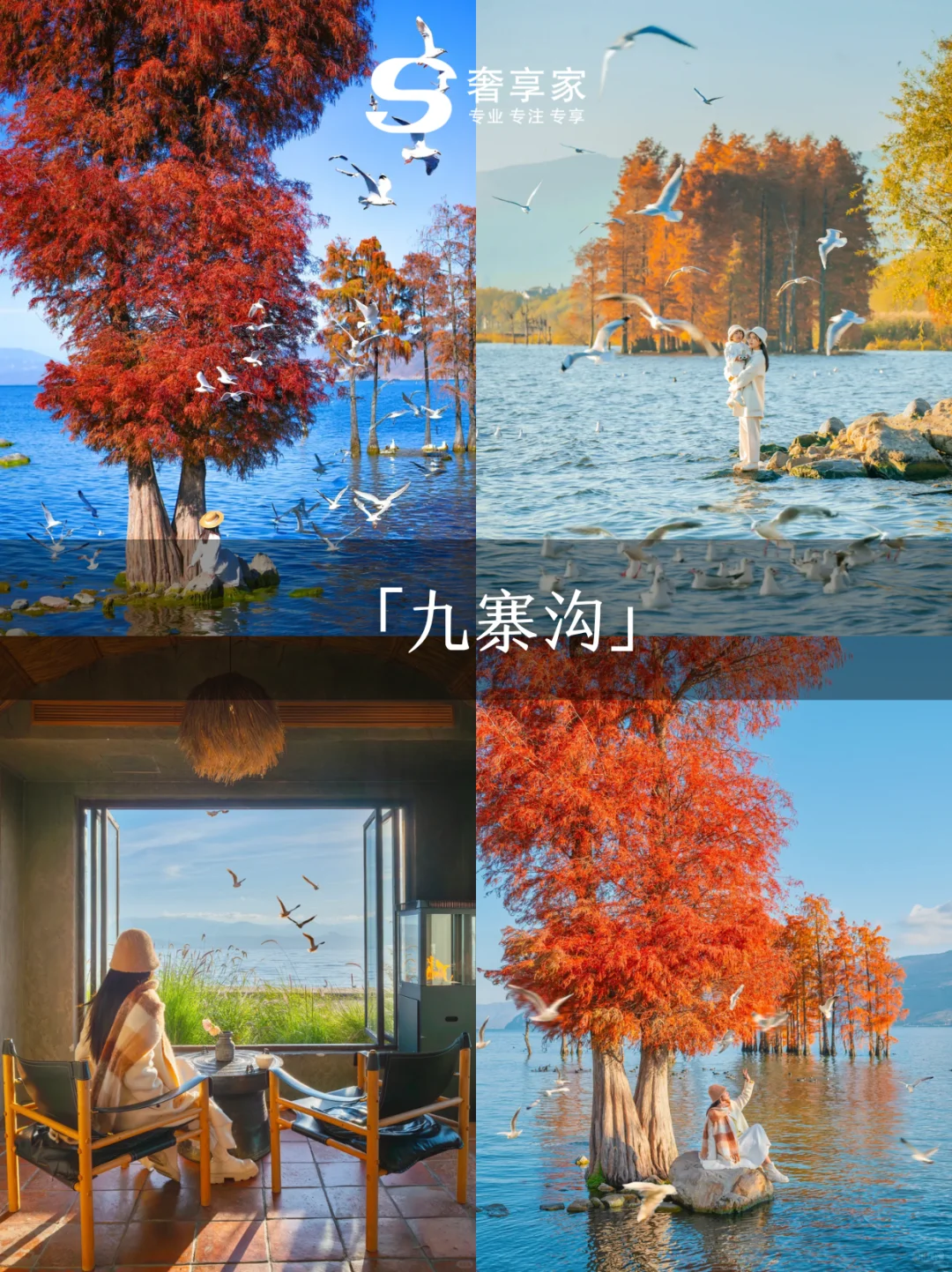 冬季适合旅行的十大城市，避寒玩雪全搞定