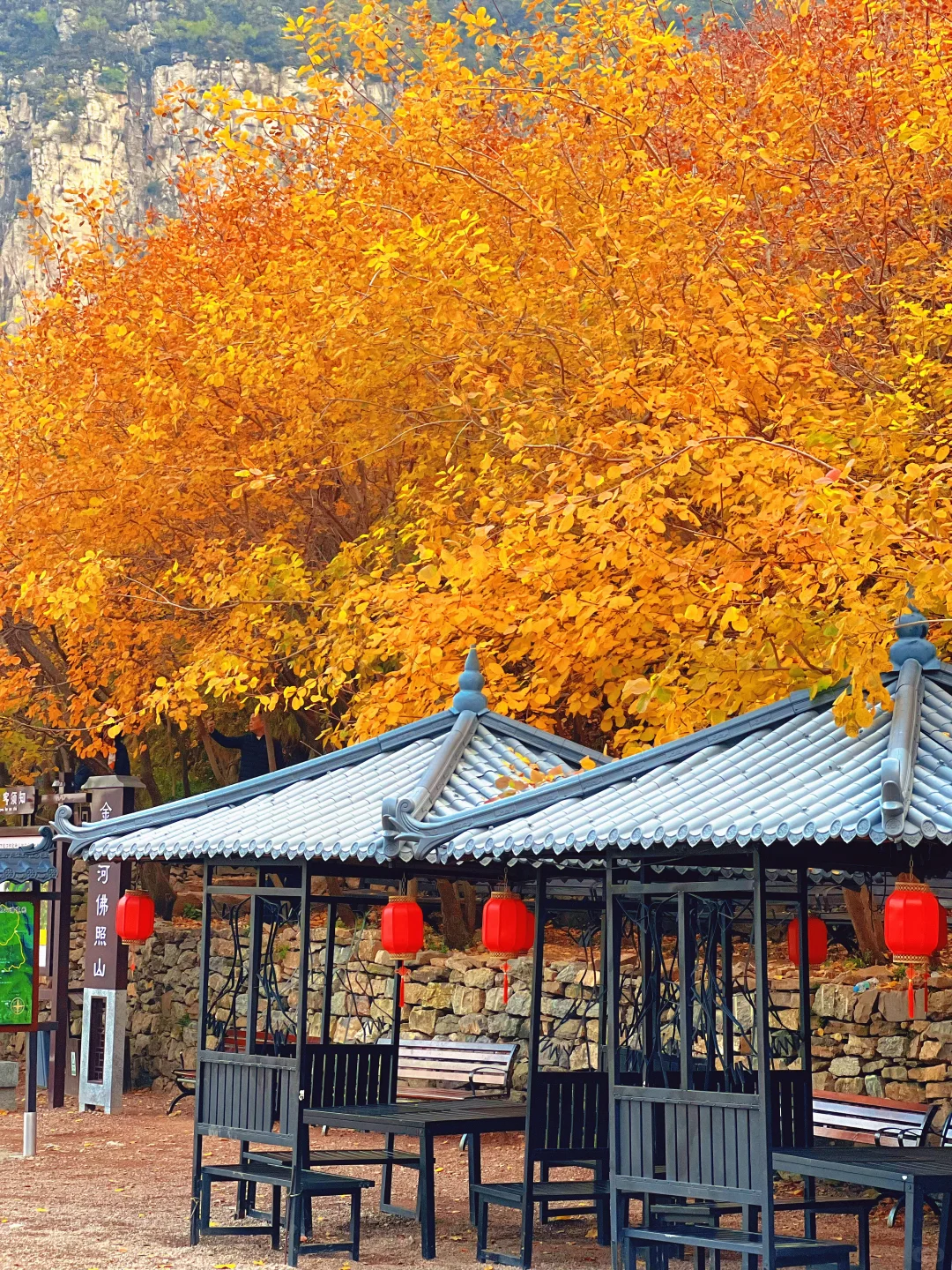 邢台沙河「佛照山」秋天免费出行第一站