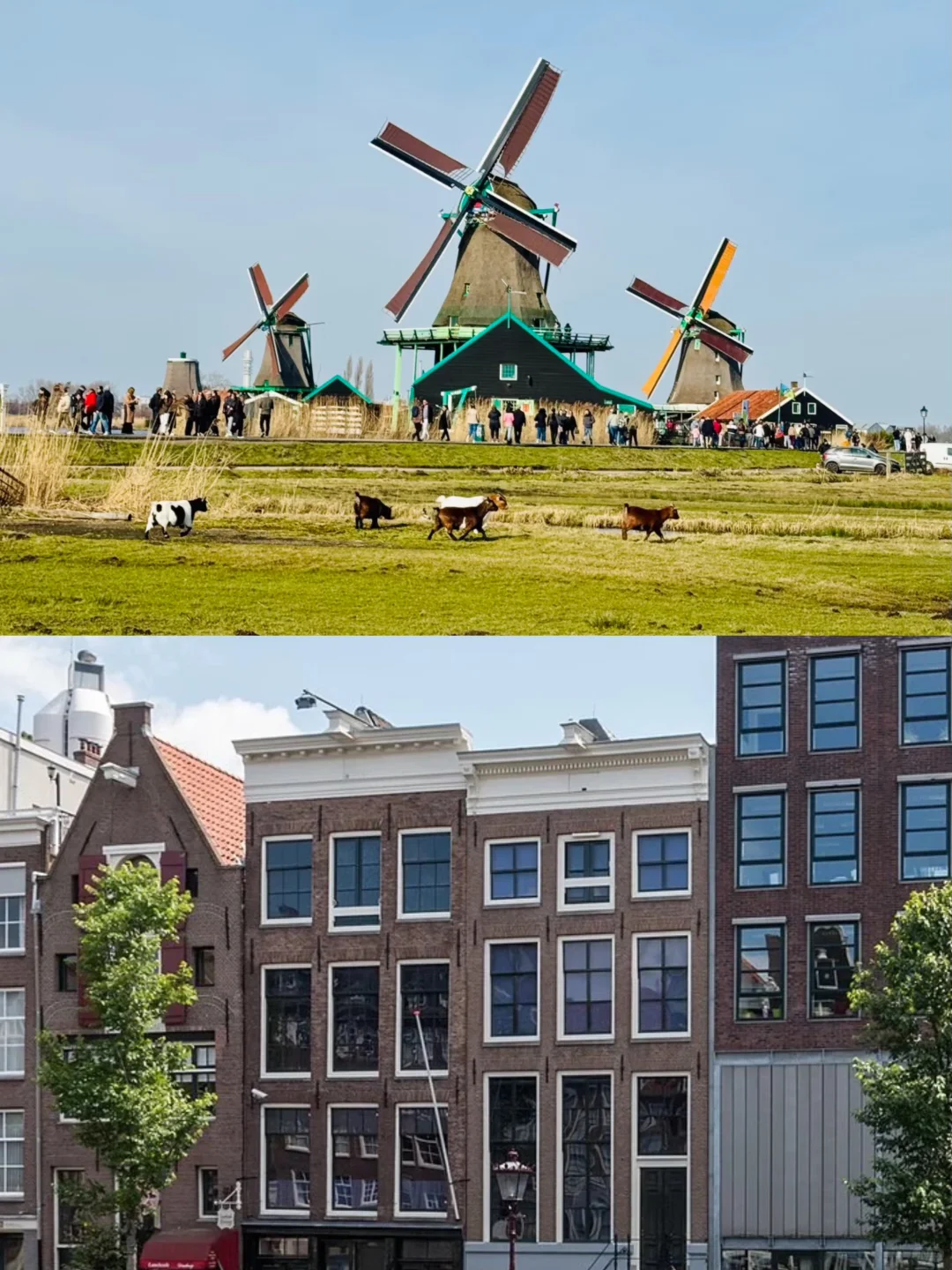 🔥第一次去荷兰必打卡景点，你最喜欢哪个？