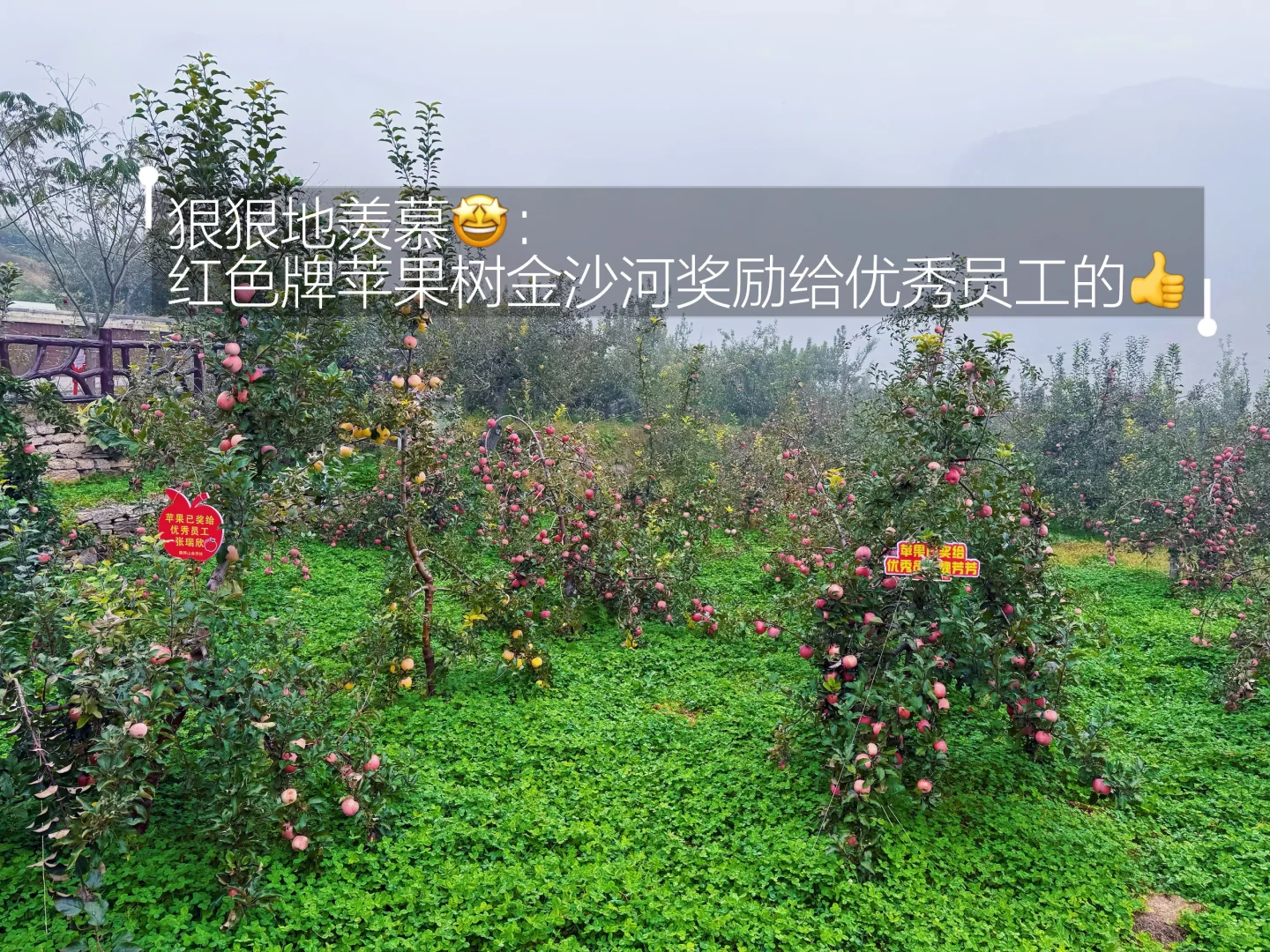 邢台也有自己的喀纳斯｜佛照山