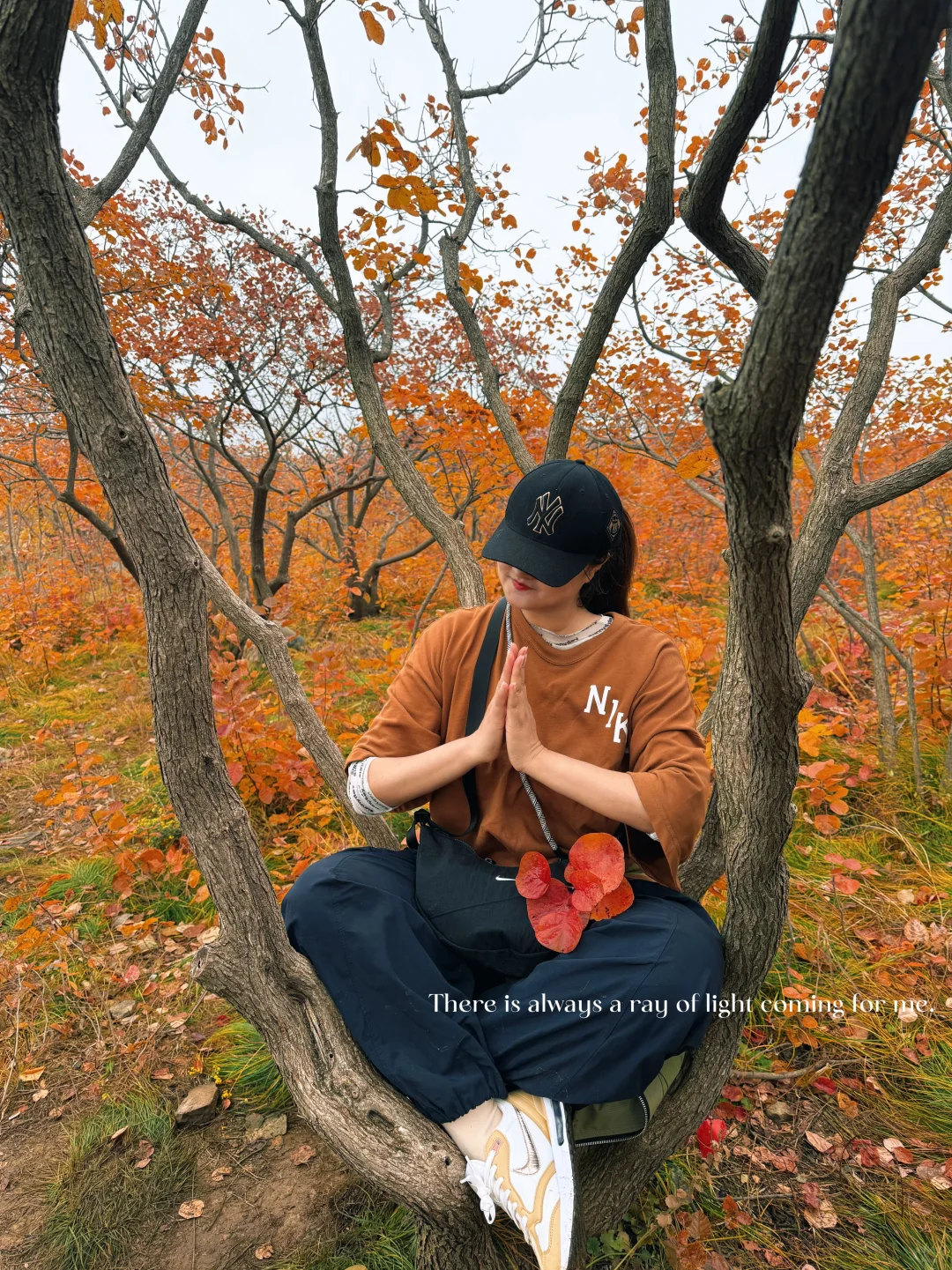 邢台也有自己的喀纳斯｜佛照山