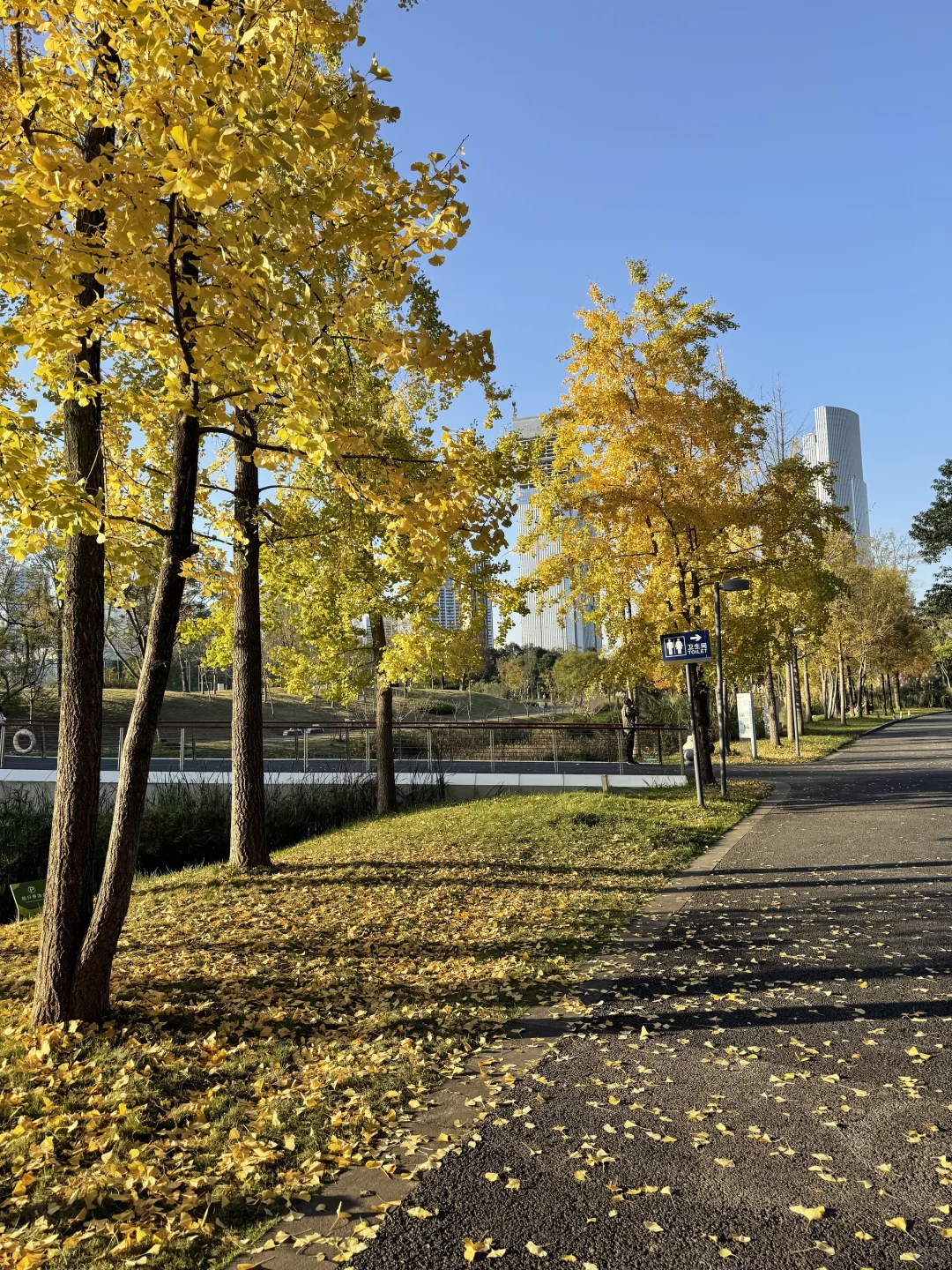 谁懂！成都这个公园有种不在国内的美！