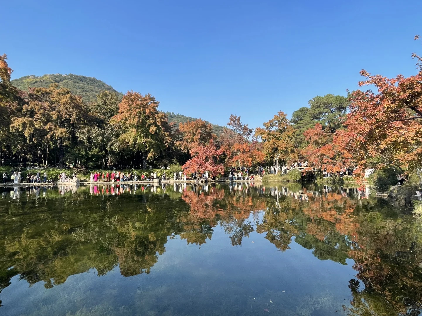 29昆山往返天平山，景区直通车真的方便
