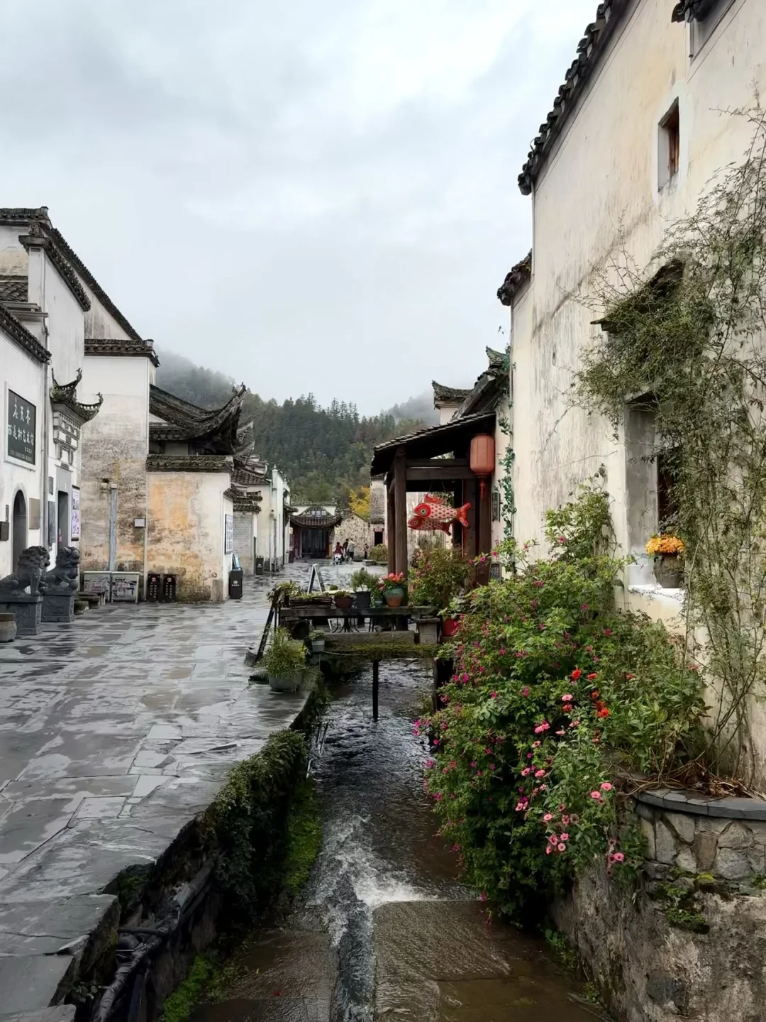 南京出发 | 挑战每周出去玩✨第60站📍黟县