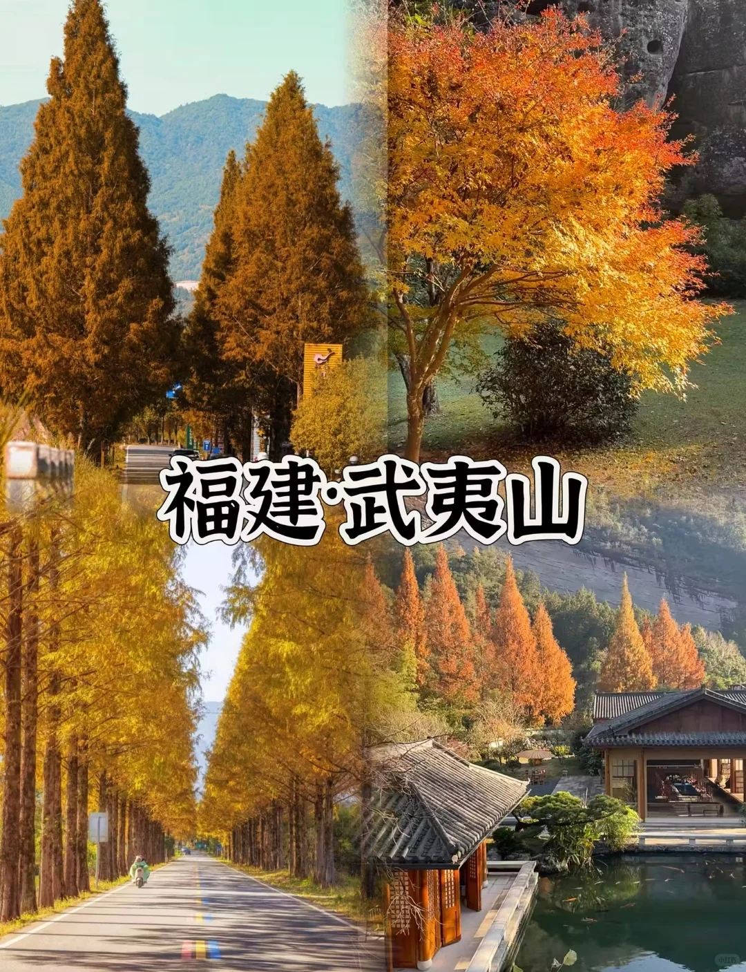 适合11~12月短途游!四个城市推荐!高铁直达!