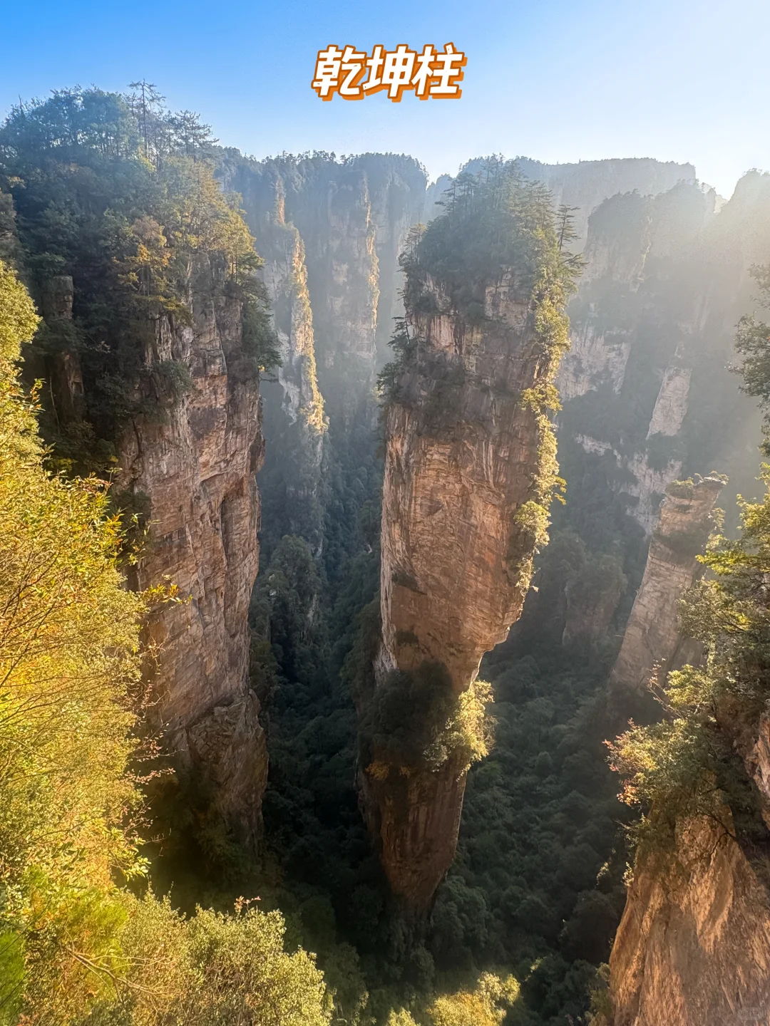 成都自驾出发，5天4夜！张家界亲子游全攻略❗️