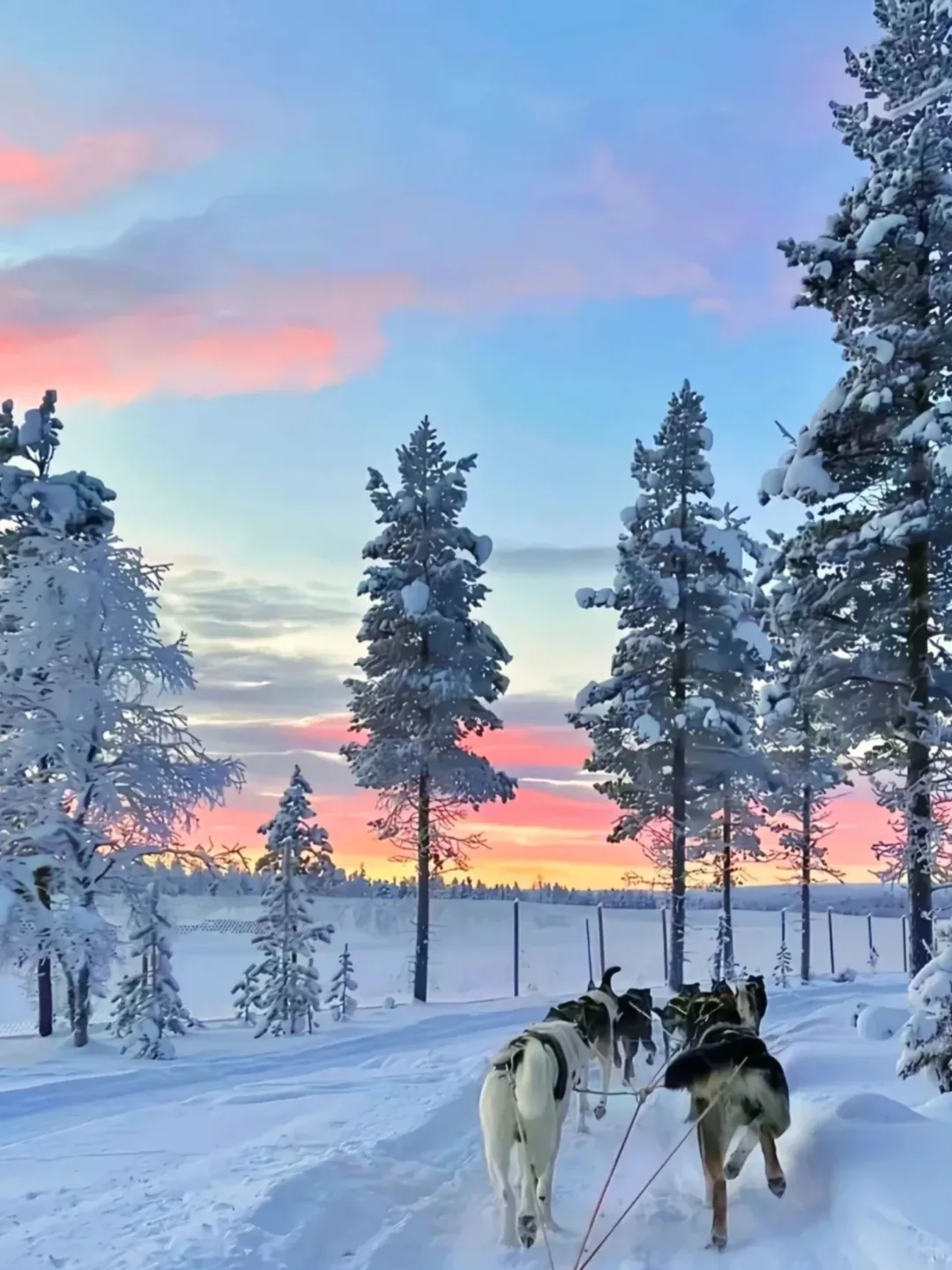 在国内！这长白山怎么长得和芬兰似的❄️