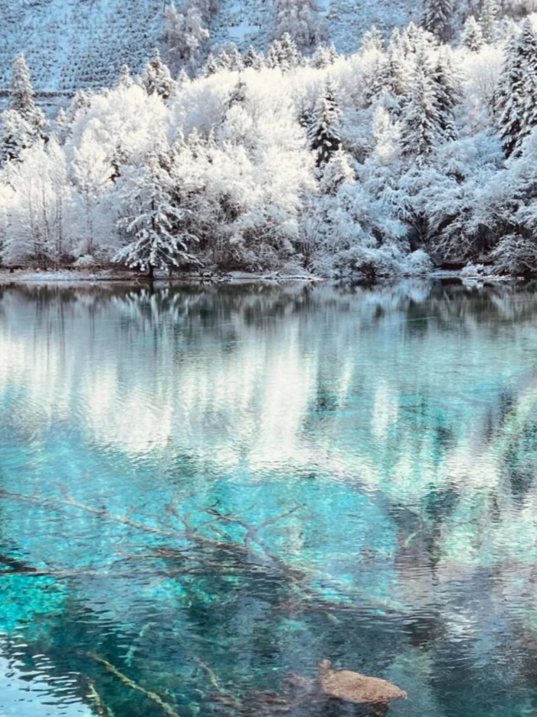 松潘玩雪已回！坚决不删，能劝一个是一个……