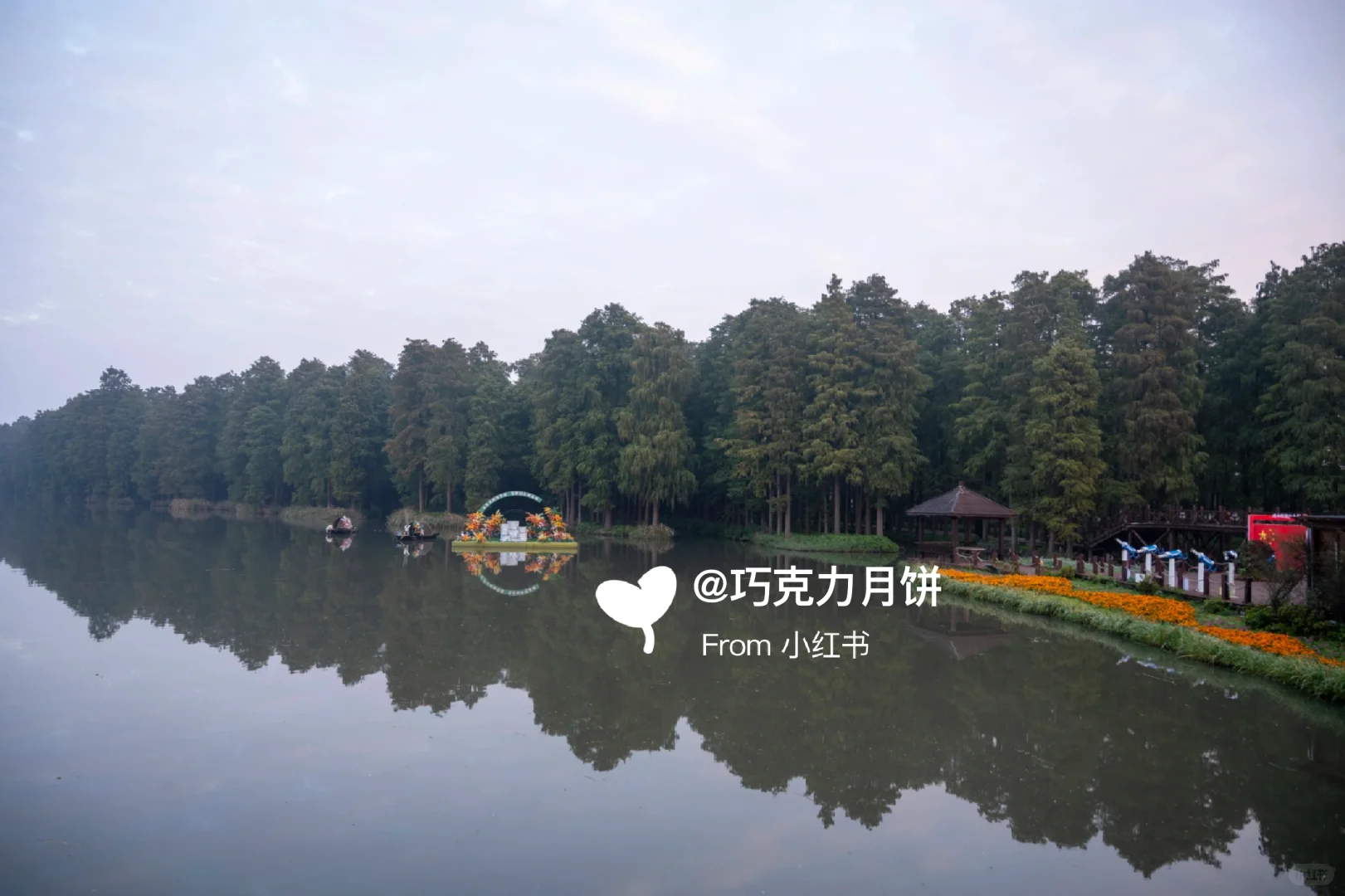 泰州旅行必打卡｜李中水上森林太值得了！