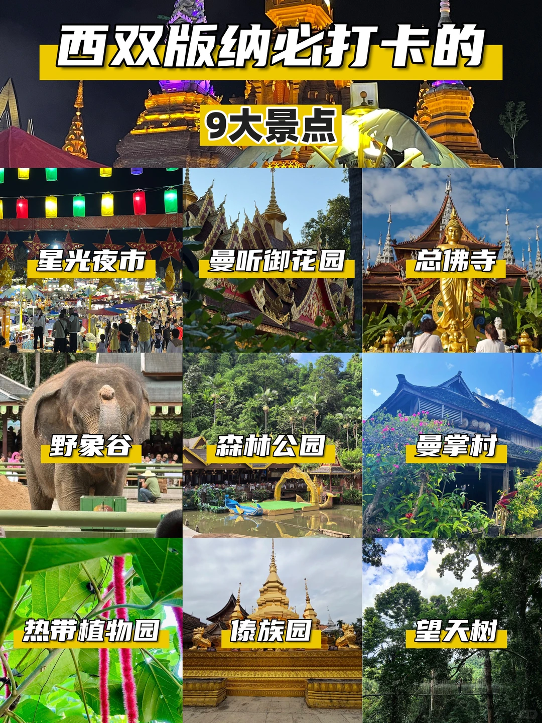 西双版纳旅游 必打卡的9️⃣大景点攻略