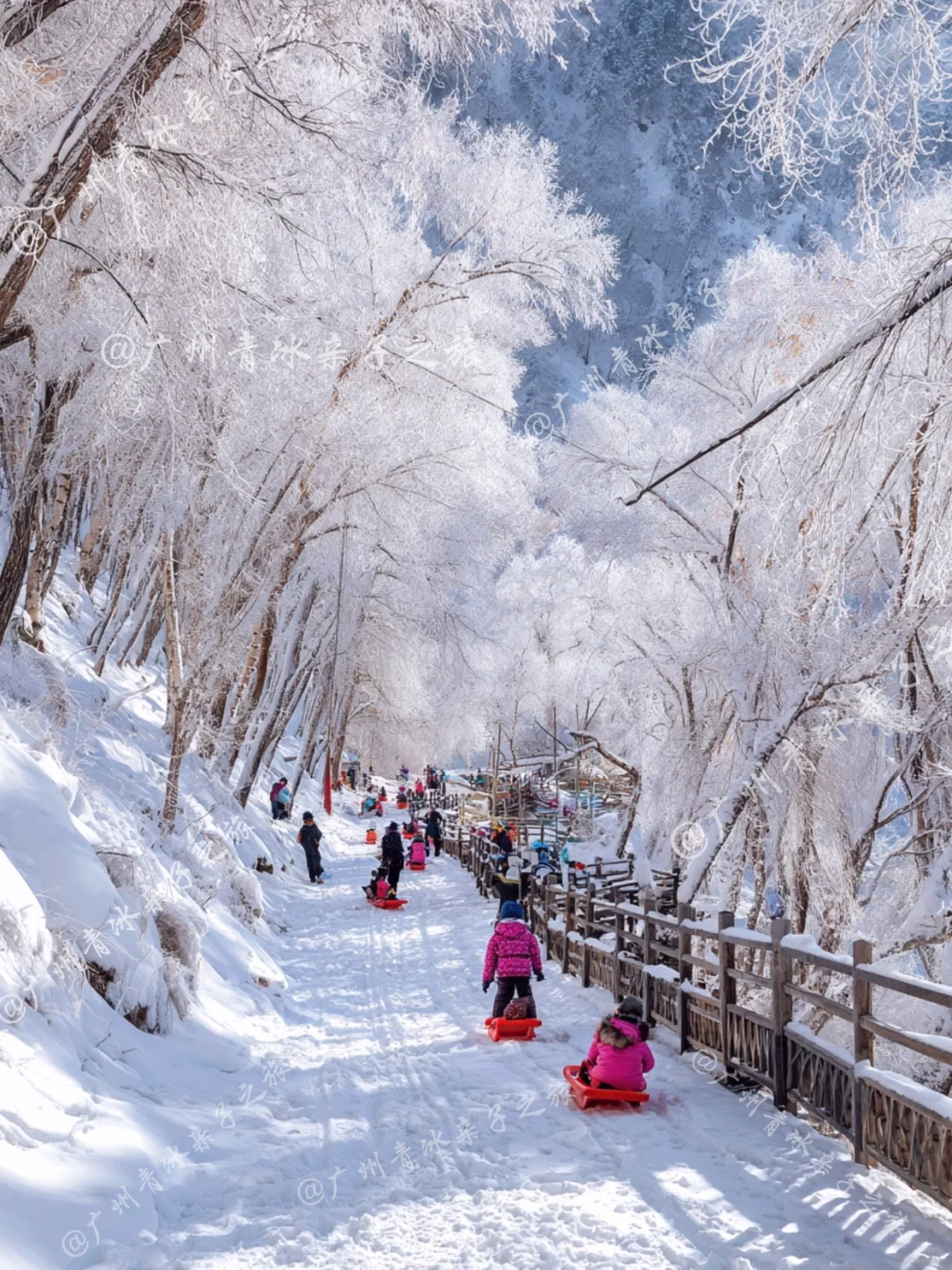 广东出发适合带娃看雪的6个城市 好玩又便宜