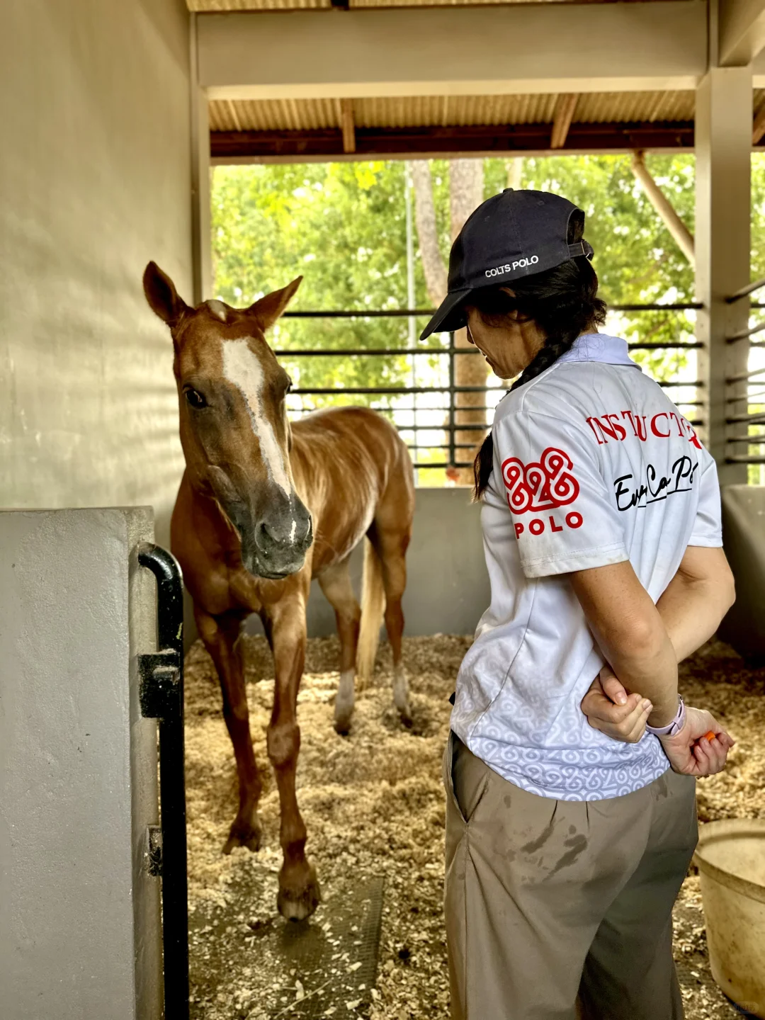 不是国外!是在马六甲新开的马场!!