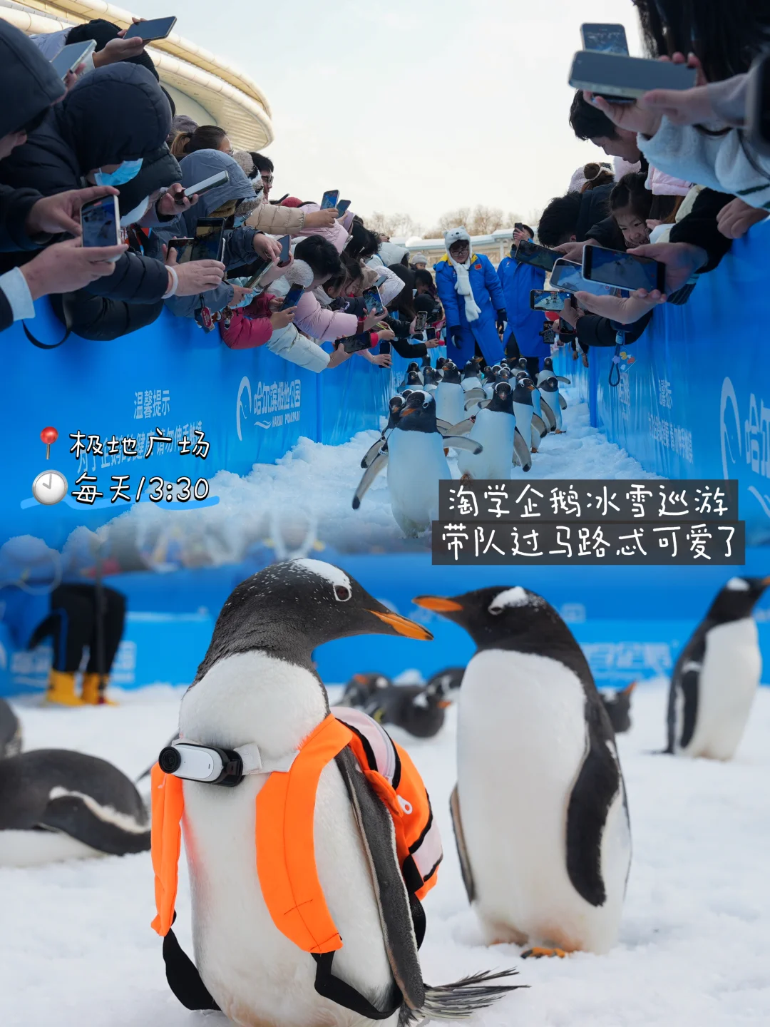 ️冬天去哈尔滨 J人整理必玩指南📖‼️