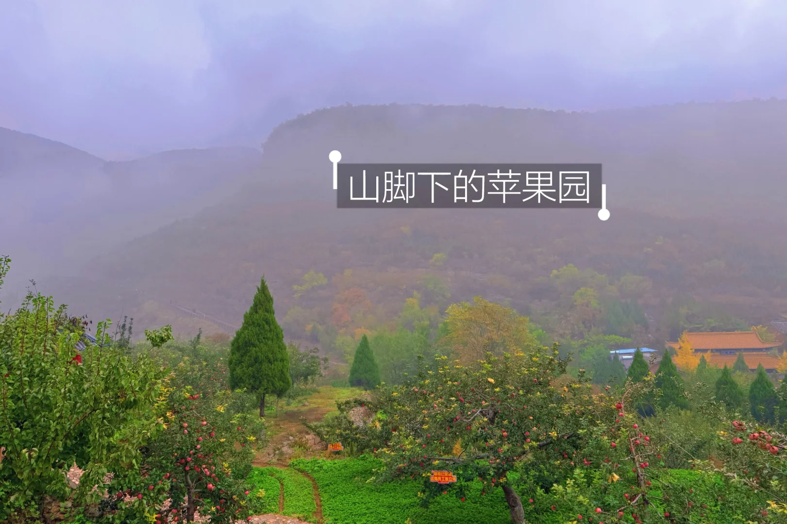 邢台也有自己的喀纳斯｜佛照山