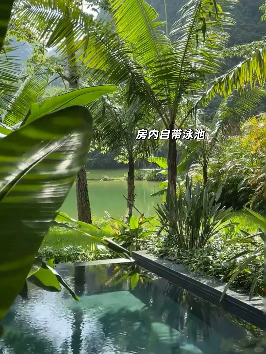 放弃三亚了，带父母去25°C的崇左过暖冬🌞了