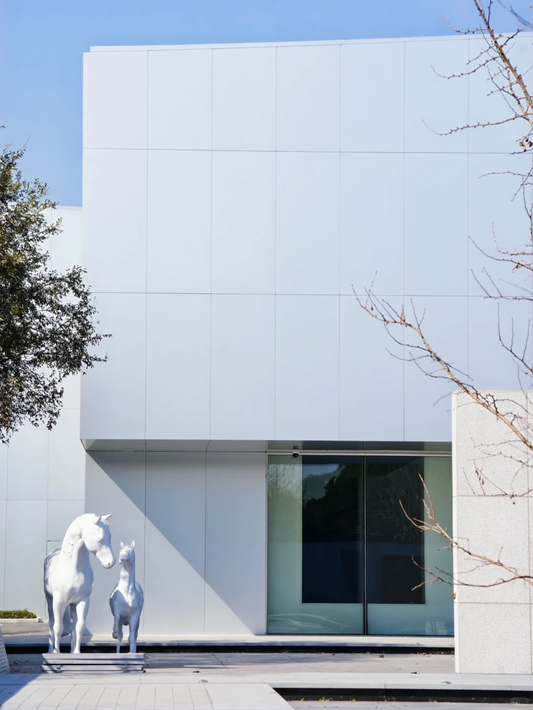 上虞秋日必冲🔥白马春晖文化园藏不住了